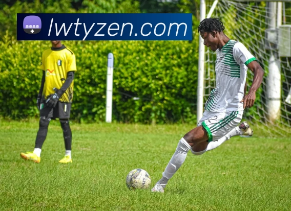 数据防护可视化